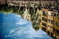 /album/fotogaleria-girona/cadeques-2-185-copia-640x480-jpg/